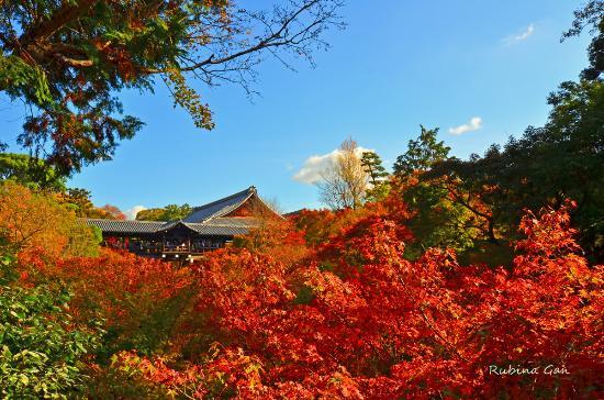 Tofuku-ji Temple